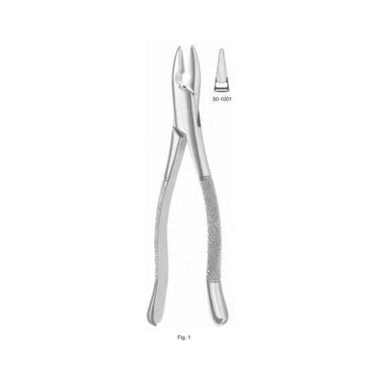 Extracting Forceps American Pattern (Fig.1)