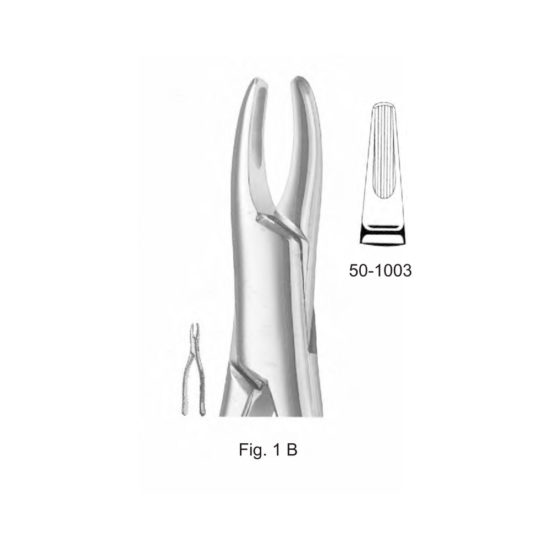 Extracting Forceps American Pattern (Fig.1 B)