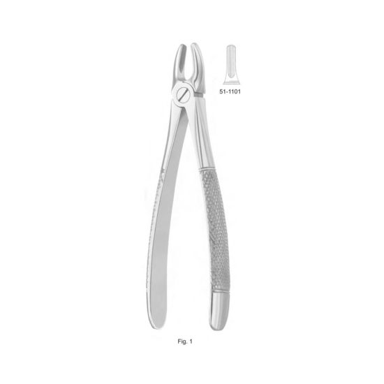 Extracting Forceps , English Pattern (Fig.1)